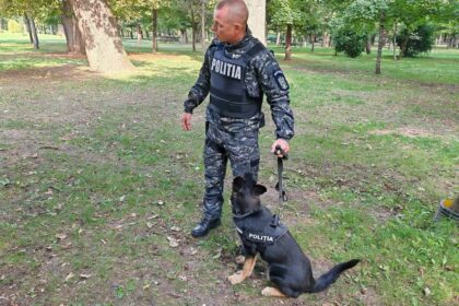 Policeman in a camo uniform with a 'POLITIA' vest stands in a park, holding a leash to a police dog wearing a matching vest.”,