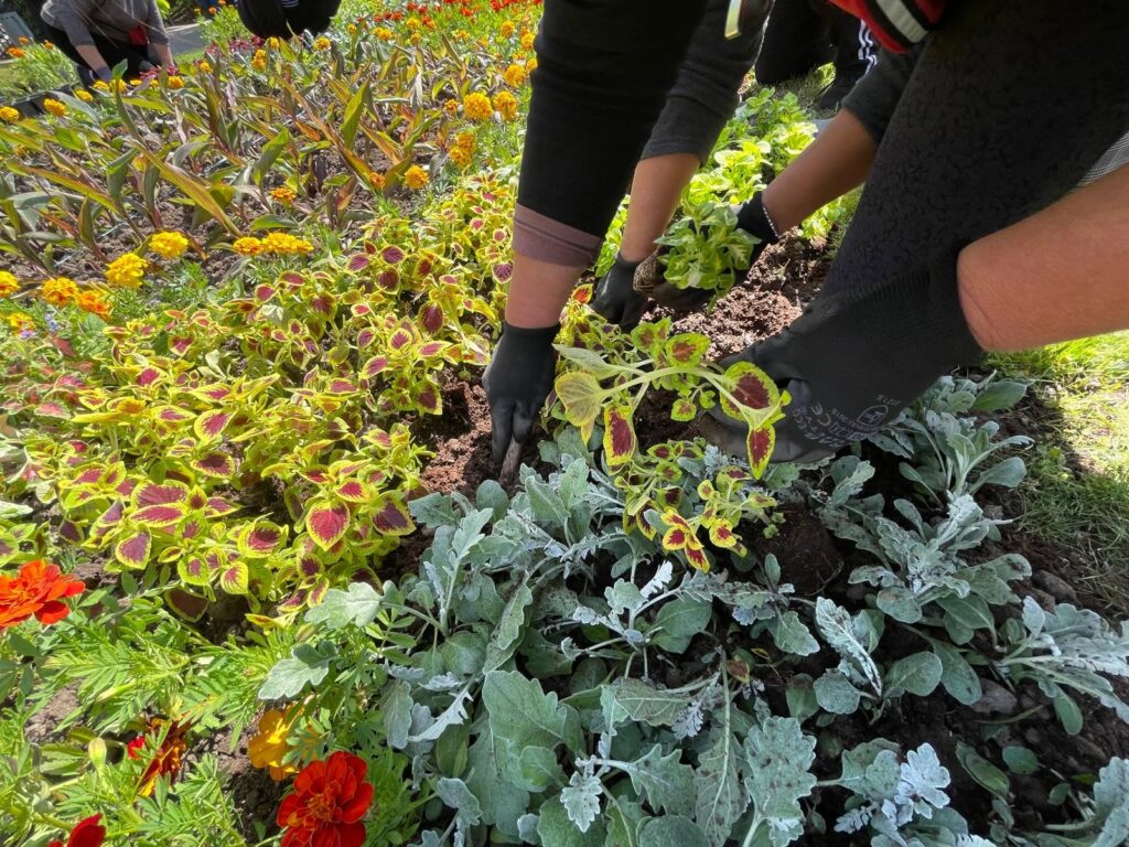 Tarifele Eco Urbis Craiova se schimbă