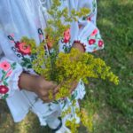 Cap de vară și magia Sânzienelor: Foto: Muzeul Olteniei