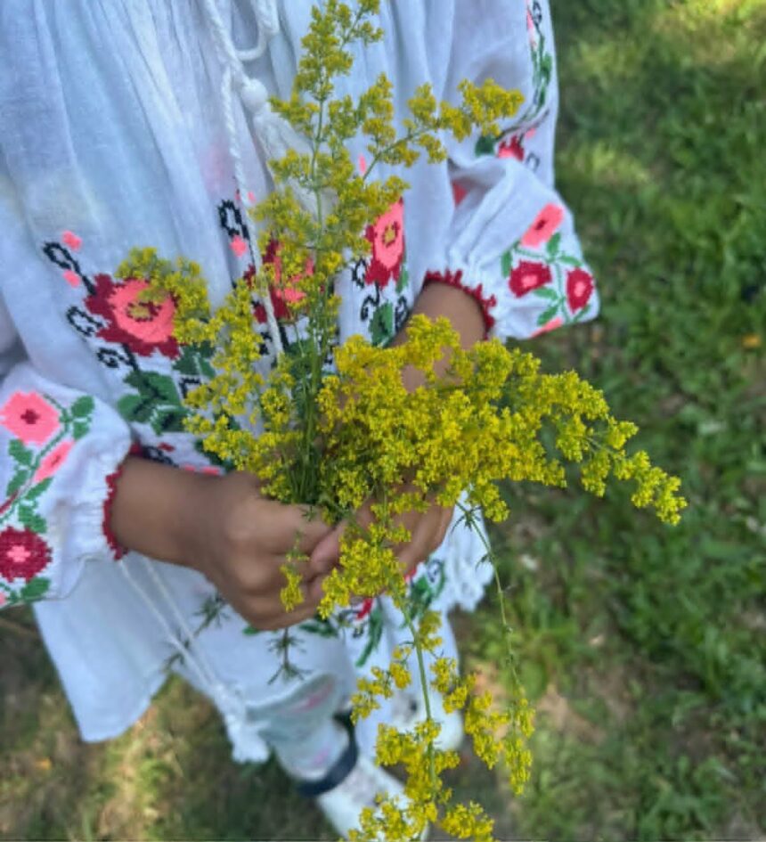 Cap de vară și magia Sânzienelor: Foto: Muzeul Olteniei