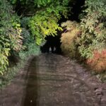Dolj: Misiune pe Dunăre pentru salvarea a doi oameni