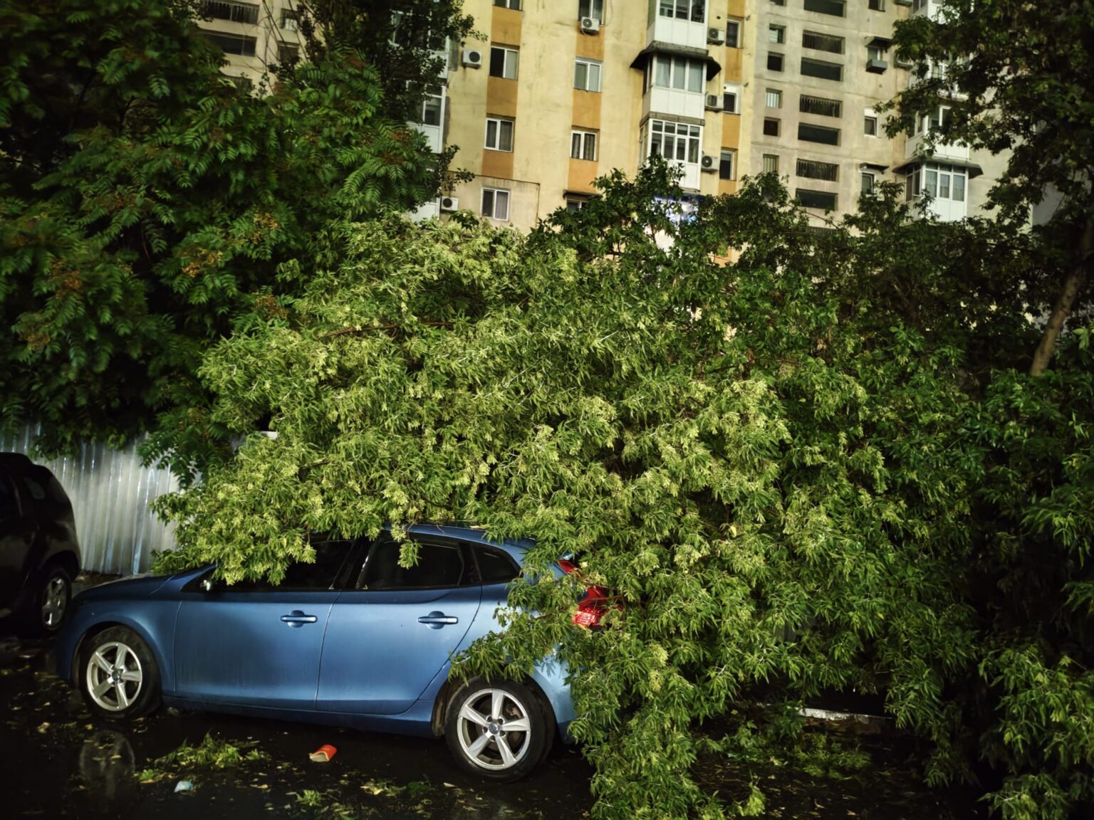 Craiova: Bilanțul pagubelor provocate de furtună