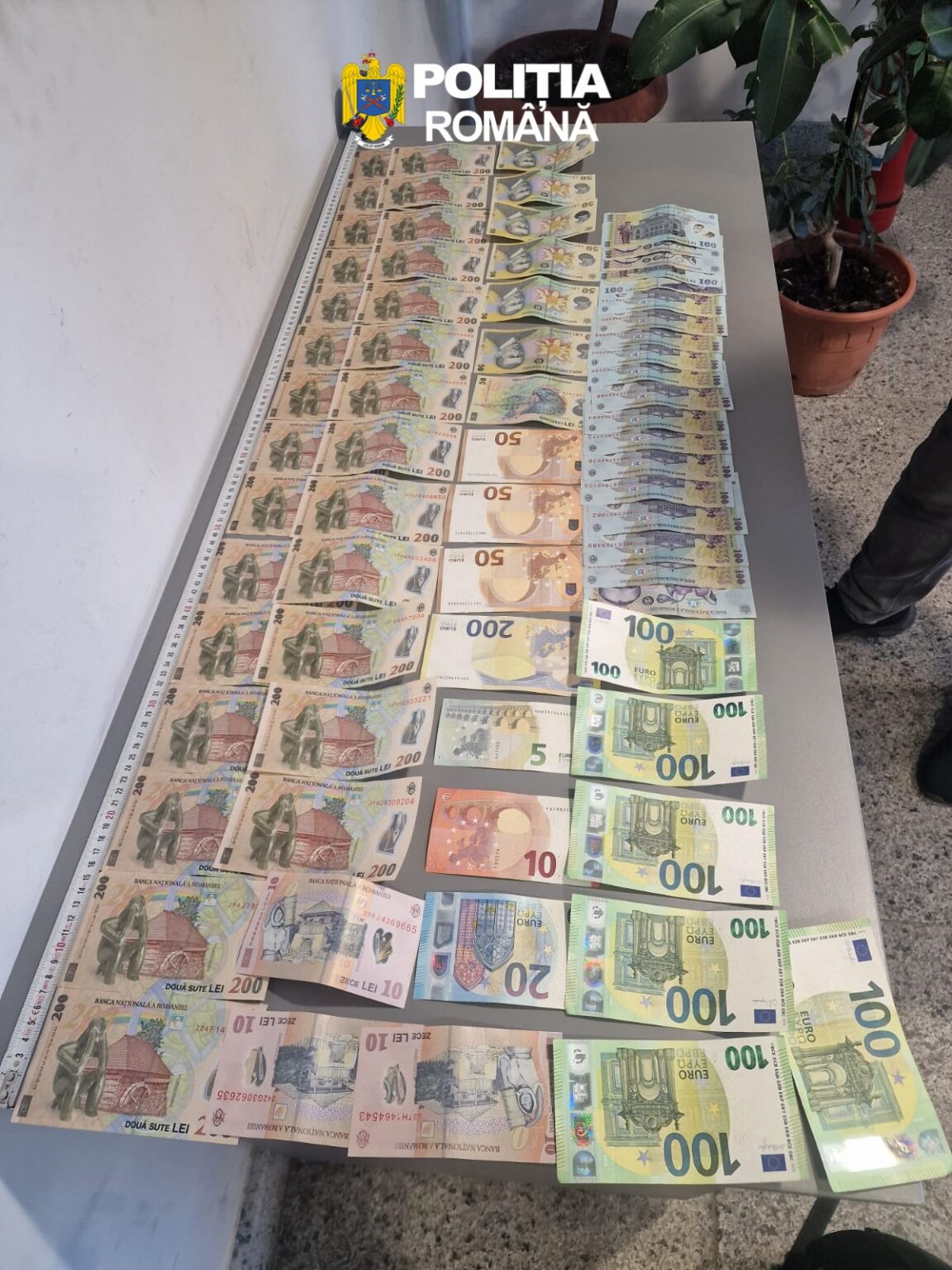 Femeie din Gorj,reținută de polițiști pentru tâlhărie, după ce a furat 14.000 de le - Jurnalul Olteniei – Știri din Craiova și Oltenia Row of confiscated banknotes (Romanian lei and euros) spread across a table beneath the Poliția Română logo.