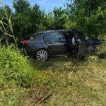 Black sedan wedged in dense bushes with its door open, surrounded by tall greenery under a blue sky.