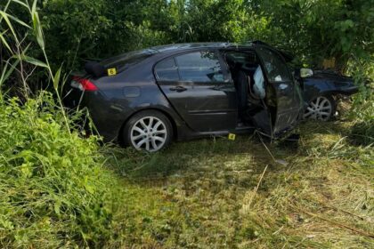 Black sedan wedged in dense bushes with its door open, surrounded by tall greenery under a blue sky.