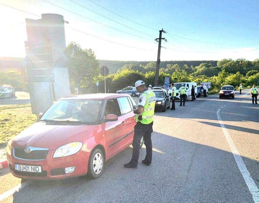 Police checkpoint on a sunlit road: an officer in a high‑visibility vest talks to the driver of a red car while other officers and police vehicles operate in the background on the roadside.