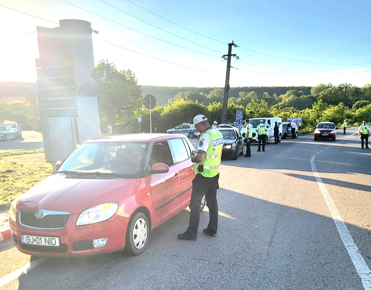 Police checkpoint on a sunlit road: an officer in a high‑visibility vest talks to the driver of a red car while other officers and police vehicles operate in the background on the roadside.