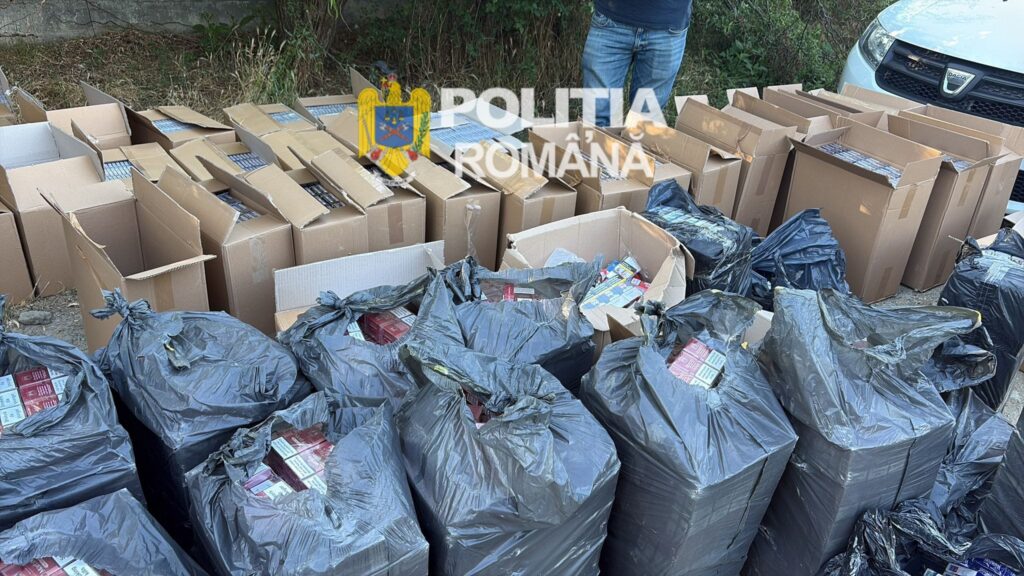Contrabandă în Craiova: Peste 500.000 de țigări confiscate - Jurnalul Olteniei – Știri din Craiova și Oltenia Contrabandă în Craiova: Peste 500.000 de țigări confiscate