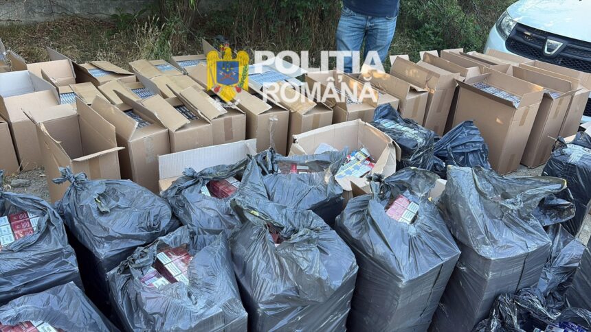 Contrabandă în Craiova: Peste 500.000 de țigări confiscate