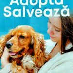 Poster promoting dog adoption: a woman holding a golden dog against a blue background with event details in Romanian (Adoptă Salvează).