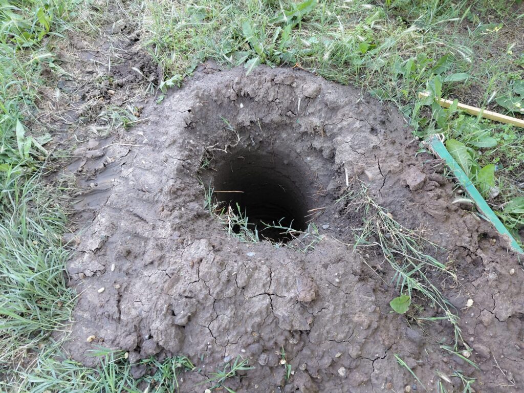 Open, dark vertical shaft in cracked, muddy soil surrounded by grass and weeds.