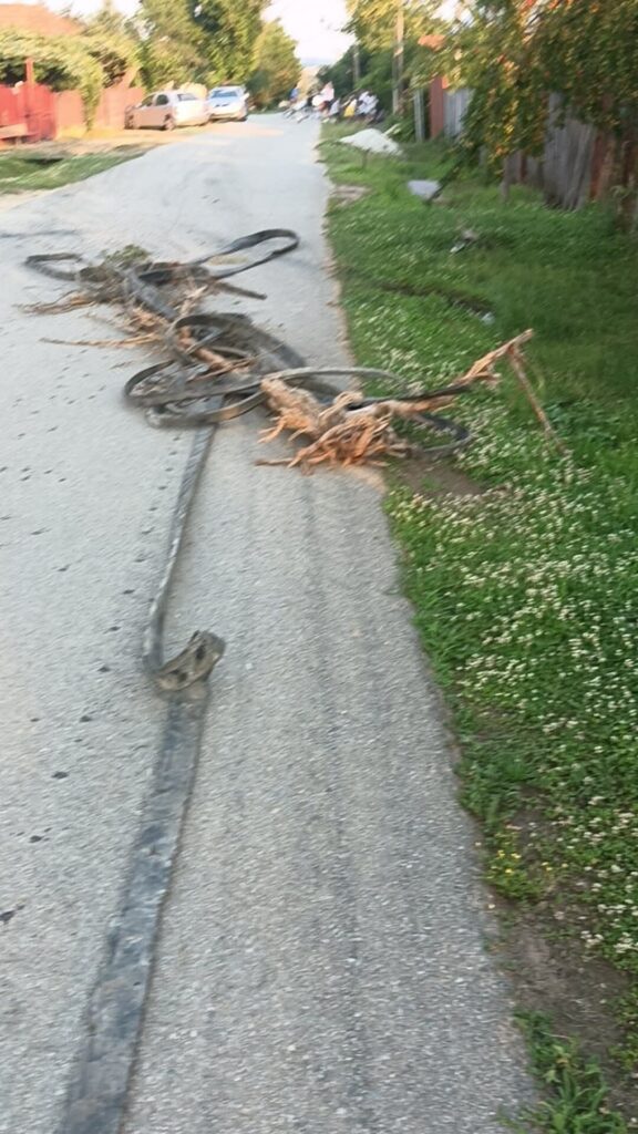 Abandoned bicycle tangled on a suburban street, with branches and debris near the curb and grass on the right.