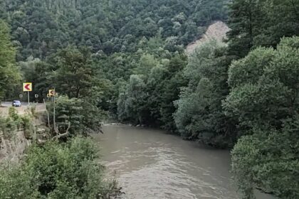 Rugged river flowing through a green valley with forested hills and a road on the left, yellow warning signs visible by the water's edge