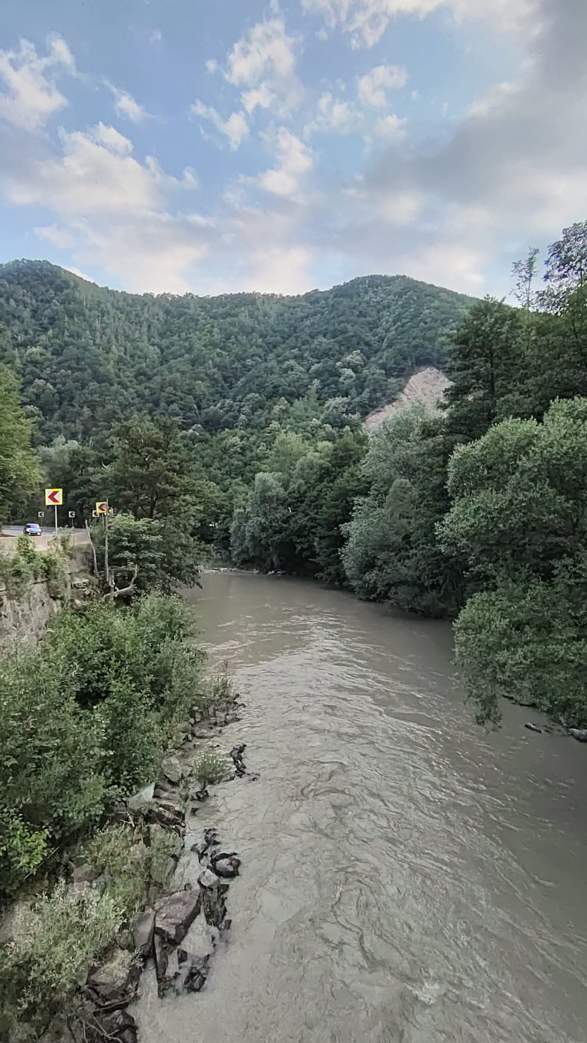 Rugged river flowing through a green valley with forested hills and a road on the left, yellow warning signs visible by the water's edge