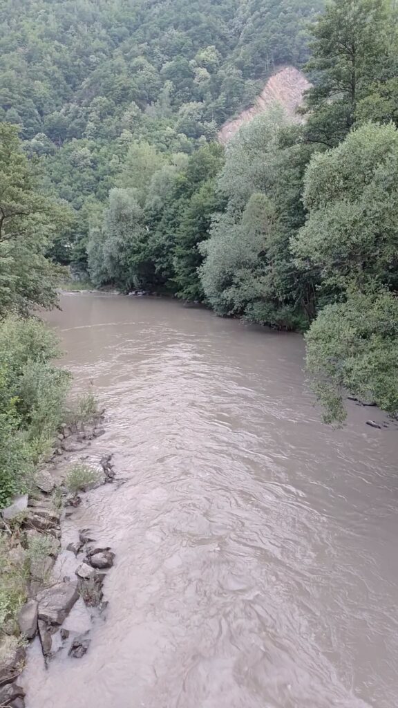 Muddy river meanders through a dense, tree-covered valley with steep hills in the background.