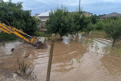Flooded yard with muddy water up to tree bases and a yellow excavator arm in the foreground.