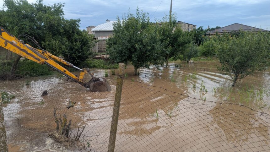 Flooded yard with muddy water up to tree bases and a yellow excavator arm in the foreground.