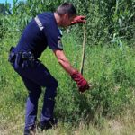 Firefighter in dark blue uniform kneels in a grassy field, using a long hooked tool with red gloves to pull something from the vegetation.