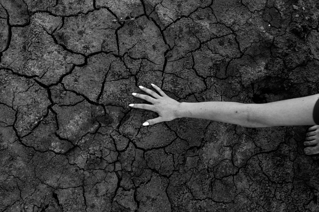 sursa foto: Pexels