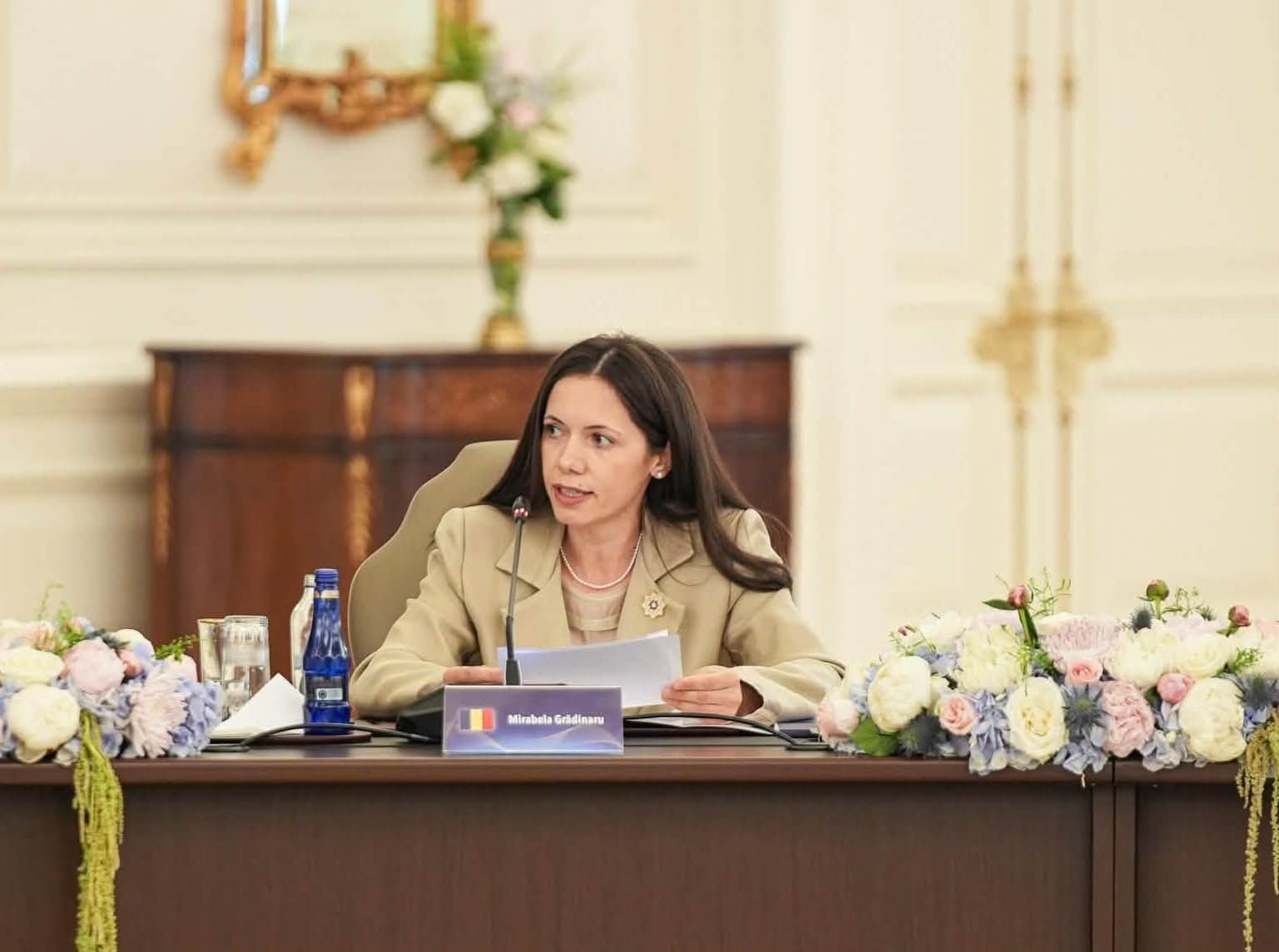 Mirabela Grădinaru a prezentat proiectul „România în Lumină” la Ankara