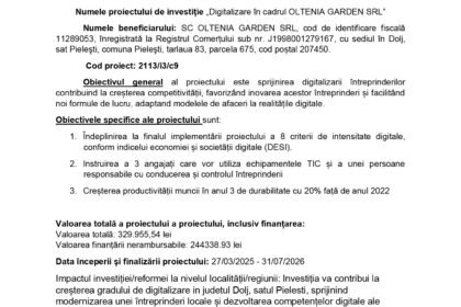 Header with EU and Romanian logos and the Romanian government banner, followed by the bold title 'Comunicat de presă de Final' and a block of text about a grant for digitalization of SMEs.