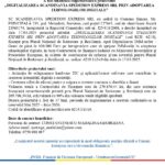 Official press release page with EU and Romanian logos and Romanian text announcing the digitalization project for Scandinvavia Express Spedition SRL.
