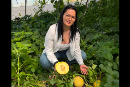 Woman kneeling in a melon patch, presenting a halved cantaloupe with a whole melon nearby to the camera.