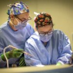 Two surgeons in blue scrubs, masks, and colorful caps perform an operation together in an operating room, handling surgical instruments.