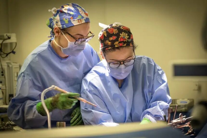 Two surgeons in blue scrubs, masks, and colorful caps perform an operation together in an operating room, handling surgical instruments.