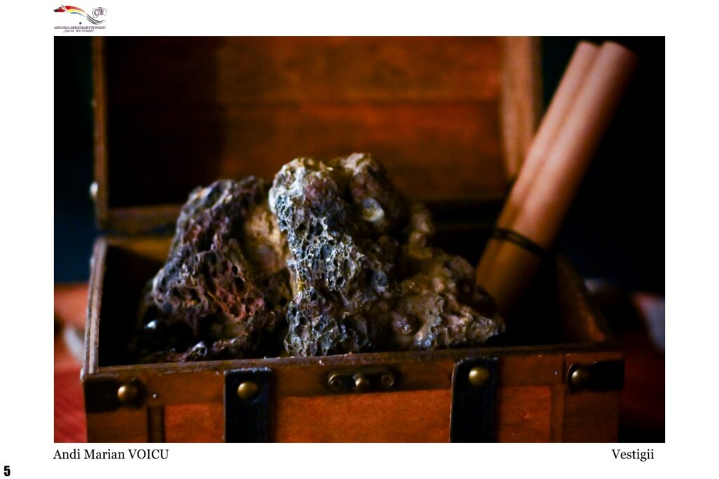 Close-up of porous, irregular rocks in a wooden display box, part of an exhibit titled Vestigii by Andi Marian Voicu.