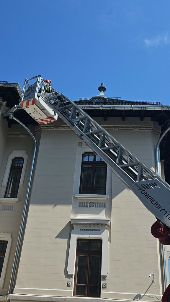 Craiova: Pisică salvată de pe acoperișul Prefecturii