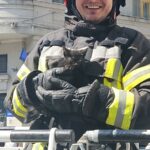 Craiova: Pisică salvată de pe acoperișul Prefecturii