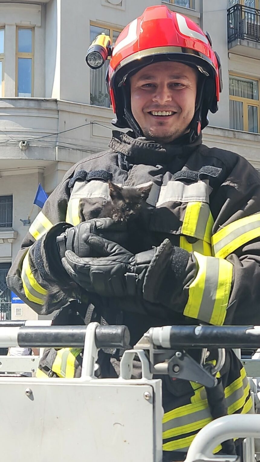 Craiova: Pisică salvată de pe acoperișul Prefecturii
