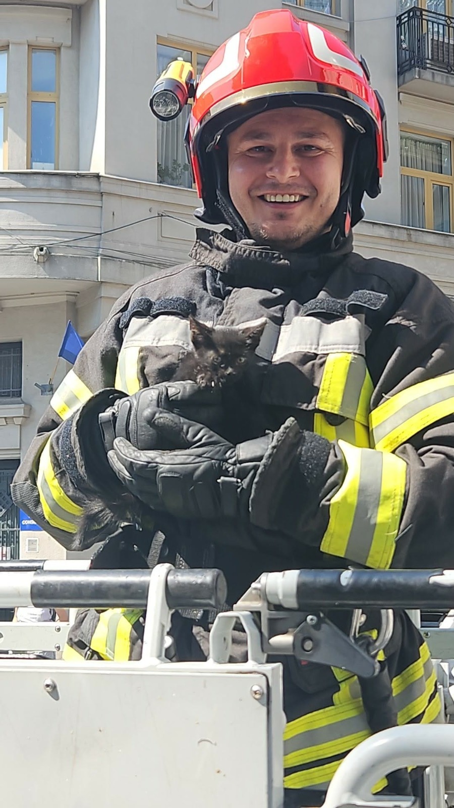 Craiova: Pisică salvată de pe acoperișul Prefecturii