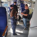 Craiova: Zeci de pasageri fără bilet, prinși în trenuri