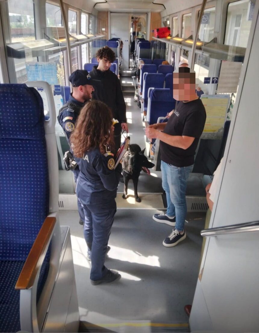 Craiova: Zeci de pasageri fără bilet, prinși în trenuri