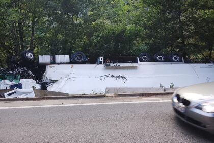 TIR încărcat cu carcase de porc, răsturnat
