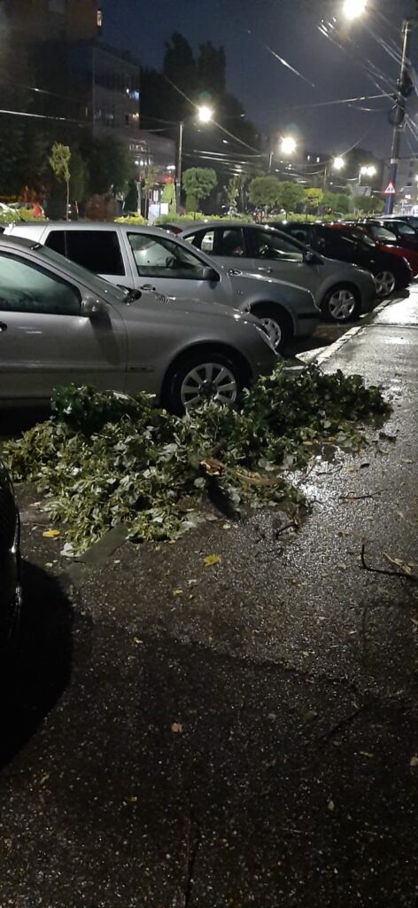 WhatsApp Image 2026-07-21 at 220620 1 - Jurnalul Olteniei – Știri din Craiova și Oltenia Nighttime street scene with a large tree branch fallen on the wet road, lying across a row of parked cars.