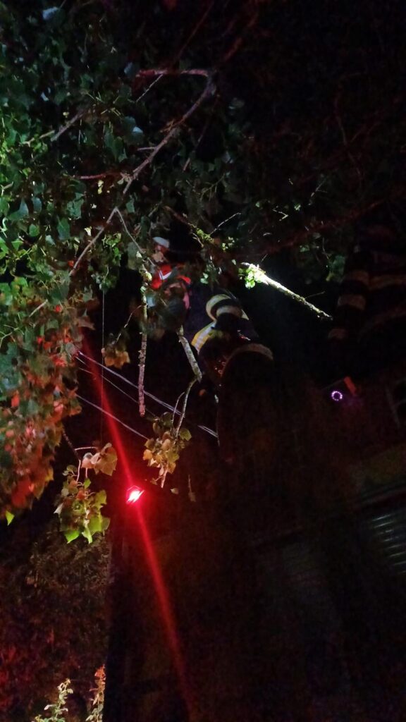 WhatsApp Image 2026-07-21 at 231059 1 - Jurnalul Olteniei – Știri din Craiova și Oltenia Nighttime rescue: firefighters in reflective gear climbing a tree among branches with a red warning light nearby.