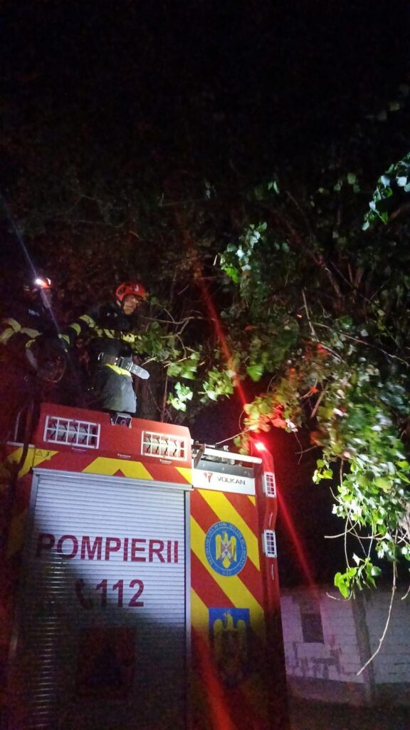 WhatsApp Image 2026-07-21 at 231059 - Jurnalul Olteniei – Știri din Craiova și Oltenia Firefighter standing on a red fire engine at night among dense branches, with emergency lights flashing.