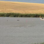 A calm river with a small white boat carrying two people near the grassy bank, a sandy hill in the background and orange buoys in the water.