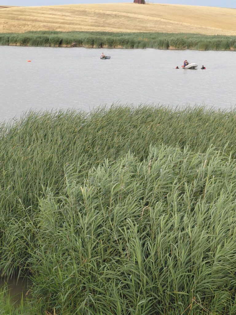 WhatsApp Image 2026-07-25 at 102602 - Jurnalul Olteniei – Știri din Craiova și Oltenia Water body with tall green reeds in the foreground and people on small boats in the distance; grassy marshland and a hill in the background.