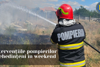 ISU Mehedinți avertizează: Arderea vegetației este interzisă prin lege