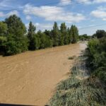 Muddy brown river runs through a green, tree-lined landscape with tall grasses along the bank and power lines overhead under a bright blue sky with clouds.