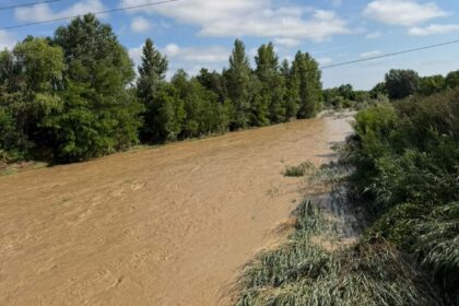Muddy brown river runs through a green, tree-lined landscape with tall grasses along the bank and power lines overhead under a bright blue sky with clouds.