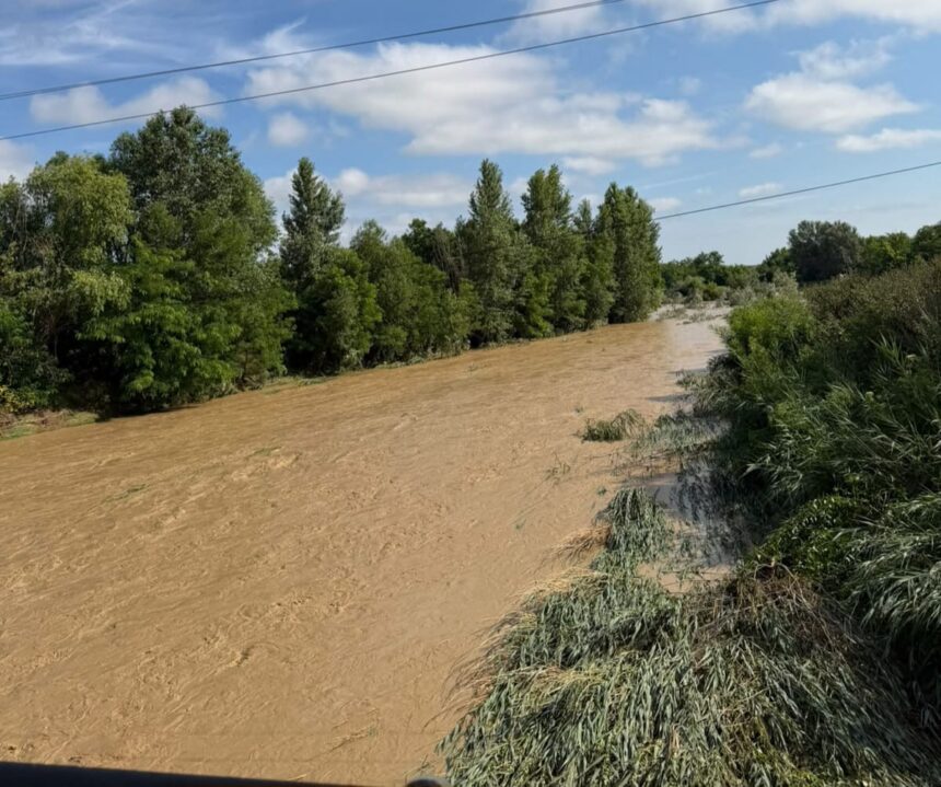 Muddy brown river runs through a green, tree-lined landscape with tall grasses along the bank and power lines overhead under a bright blue sky with clouds.