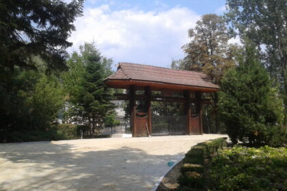 Wooden gazebo with a tiled roof in a green garden, on a sunny day with a paved foreground.
