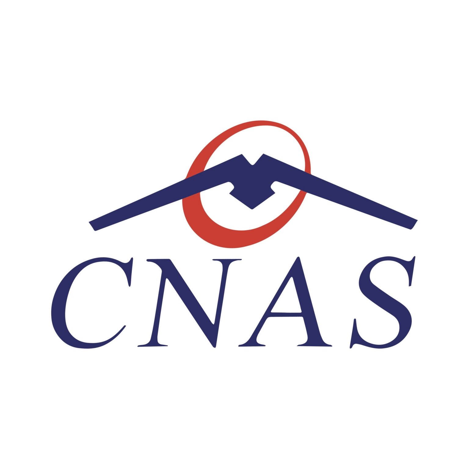 CNAS angajează directori generali în 20 de județe - Jurnalul Olteniei – Știri din Craiova și Oltenia CNAS angajează directori generali în 20 de județe