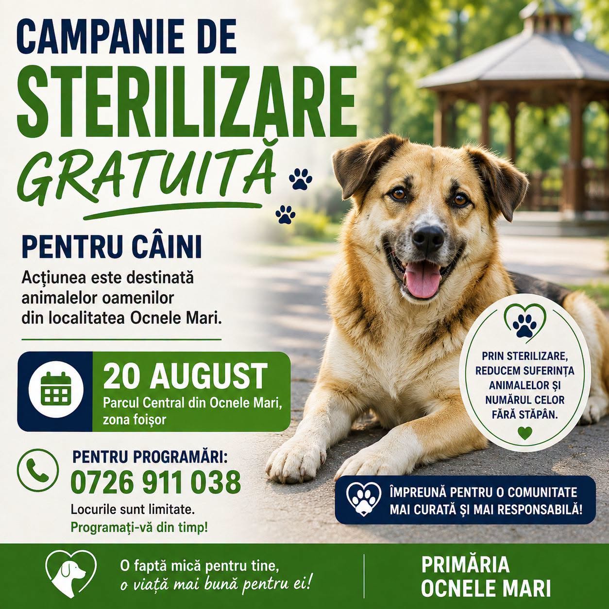 Ocnele Mari: Campanie gratuită pentru sterilizarea câinilor