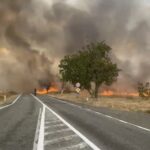 Two-lane road beside a wildfire: bright flames and thick smoke stretch across the field, with a tree near the roadside far ahead.